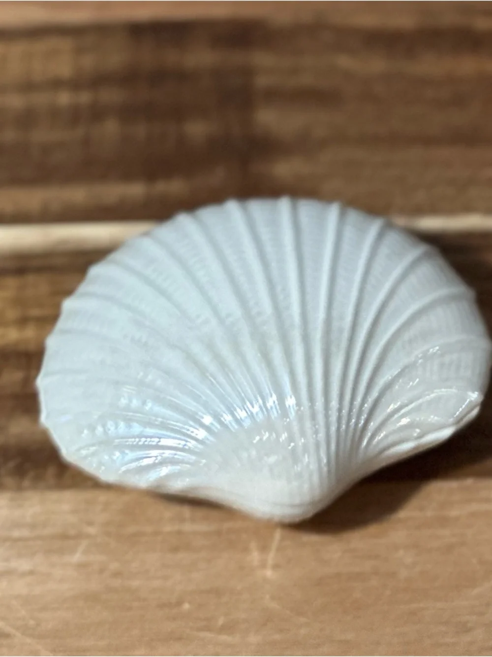 Vintage White Ceramic Shell Trinket Dish or Ring catchall